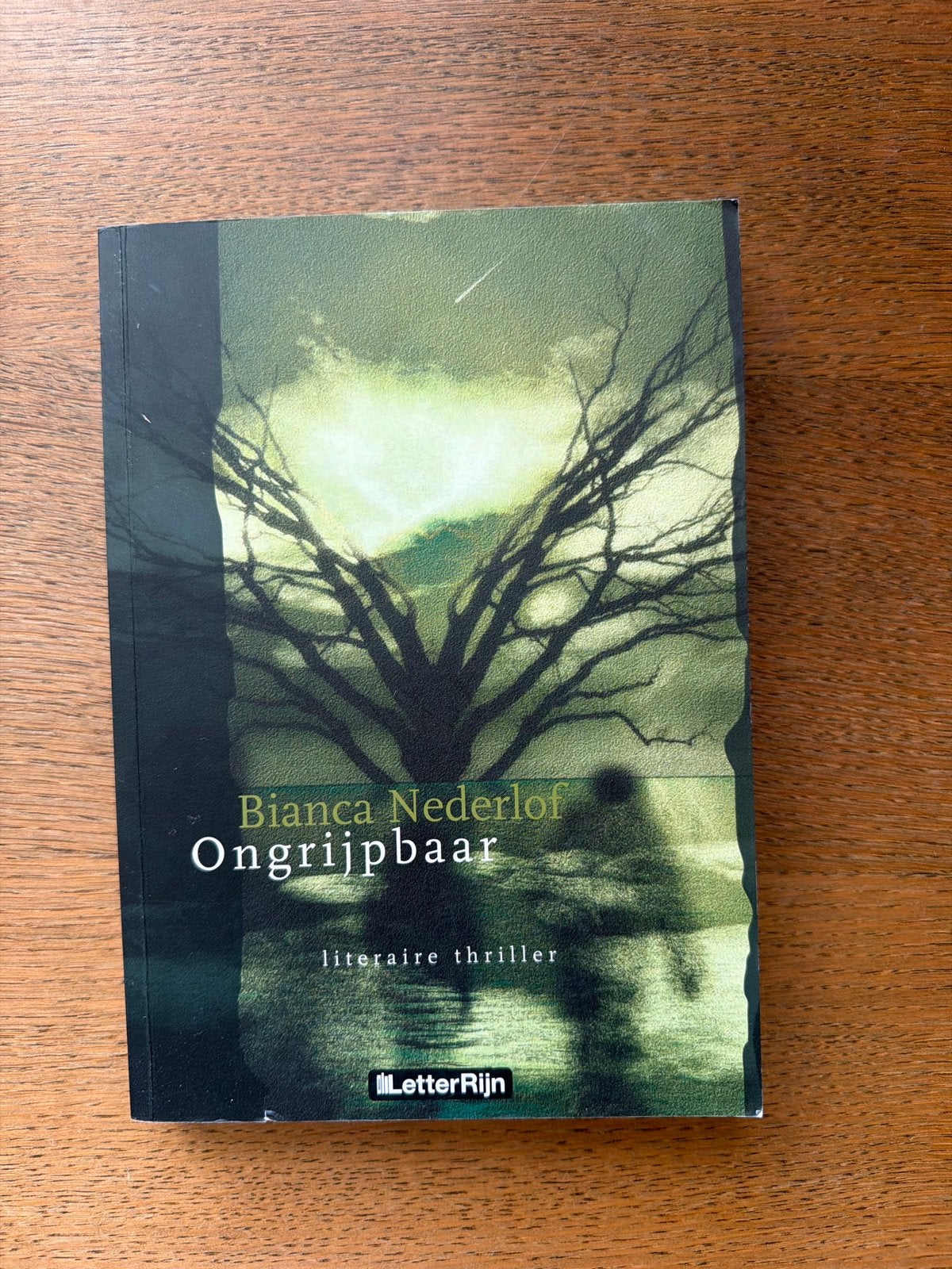 Bianca Nederlof - Ongrijpbaar, Ophalen of Verzenden, Zo goed als nieuw, Nederland, Bianca Nederlof