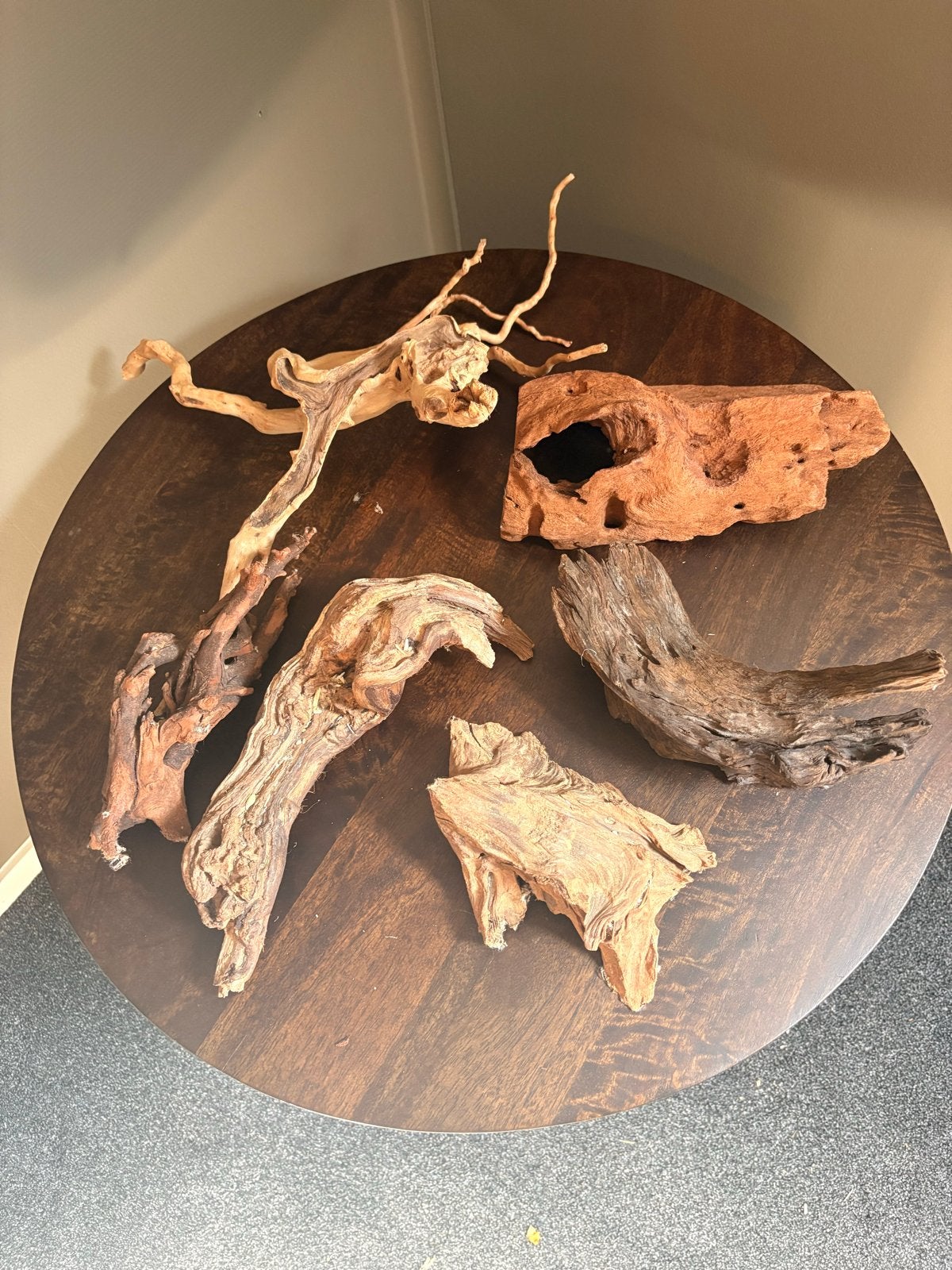 Hamsterscaping - houten accessoires, Ophalen, Plant(en), Steen of Hout