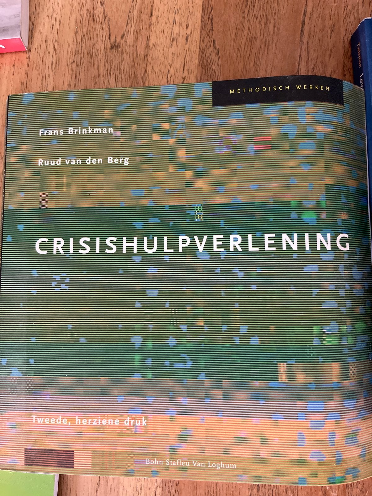 Crisishulpverlening - Frans Brinkman & Ruud van den Berg, Boeken, Studieboeken en Cursussen, Ophalen of Verzenden, Gamma, Gelezen