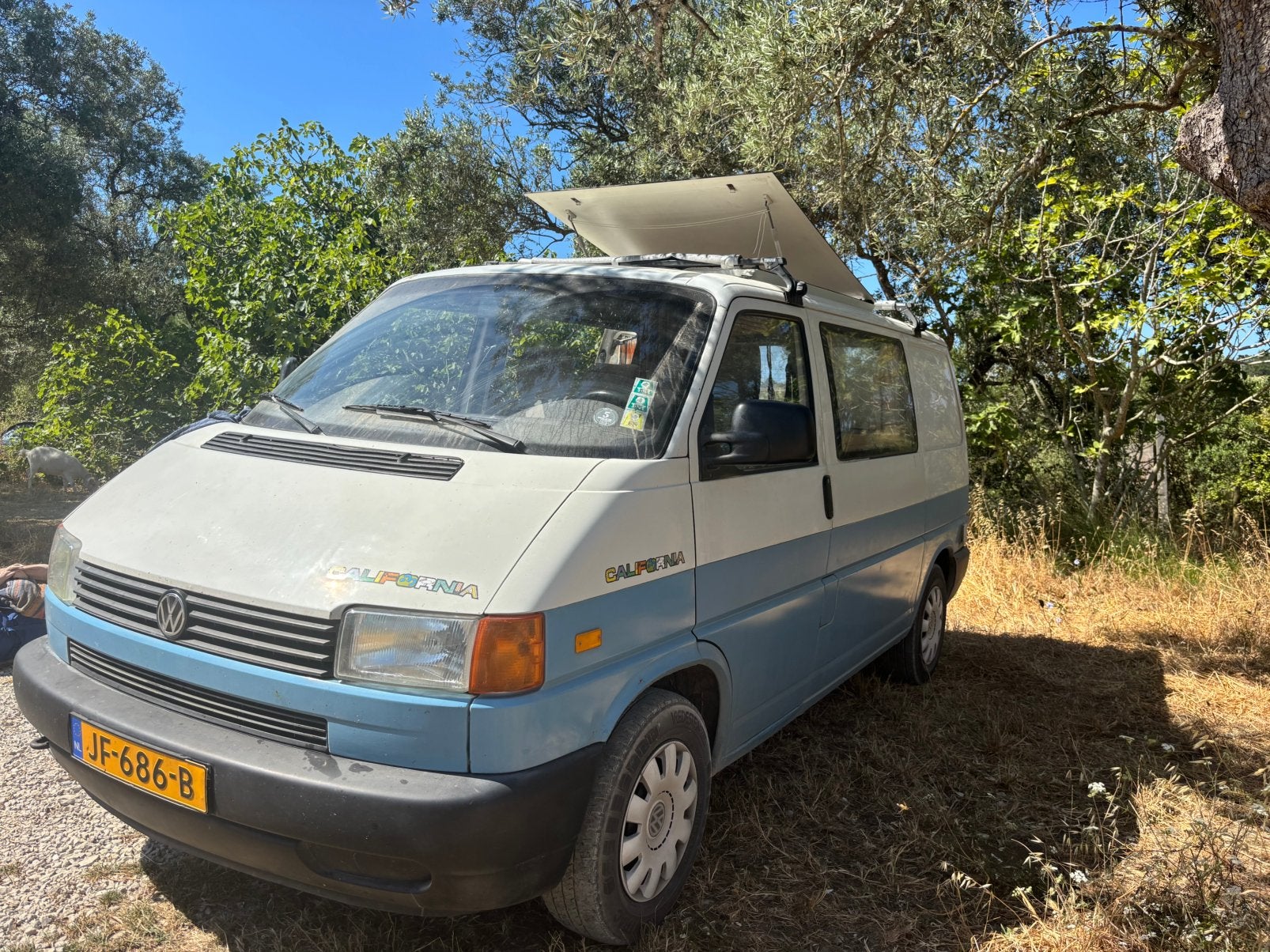 Caravans And Camping Volkswagen