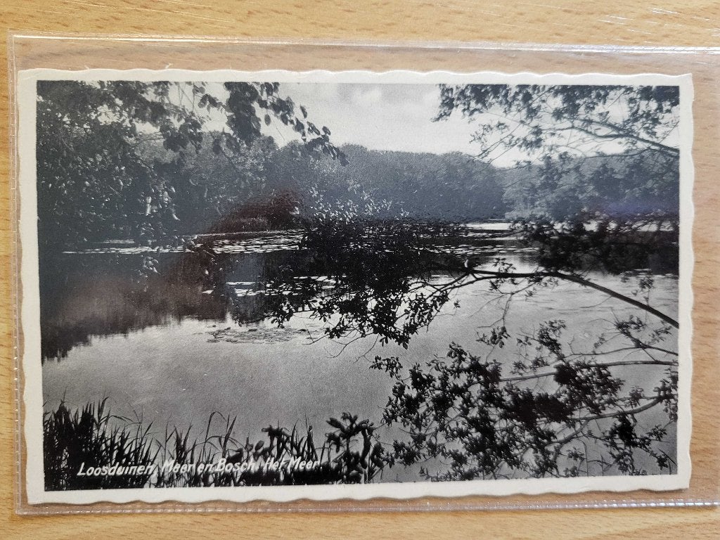 ansicht LOOSDUINEN Maan en Bosch, Verzamelen, Ansichtkaarten | Nederland, Ophalen of Verzenden, Voor 1920, Zuid-Holland