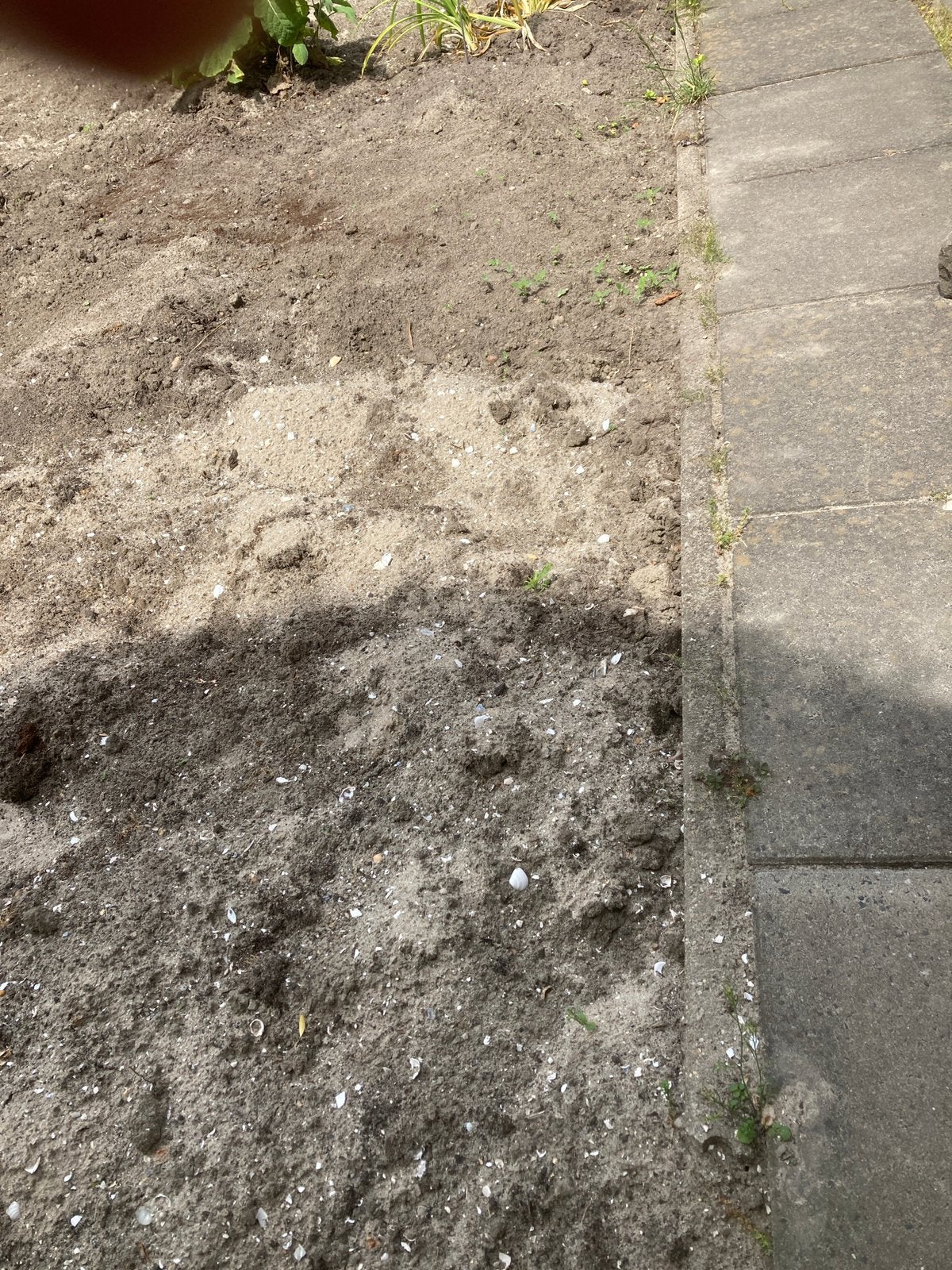 BINNENKORT (14 juni) GRATIS Palissade 7 stuks: 100x15x5 cm, Ophalen, Gebruikt, Beton, Overige typen