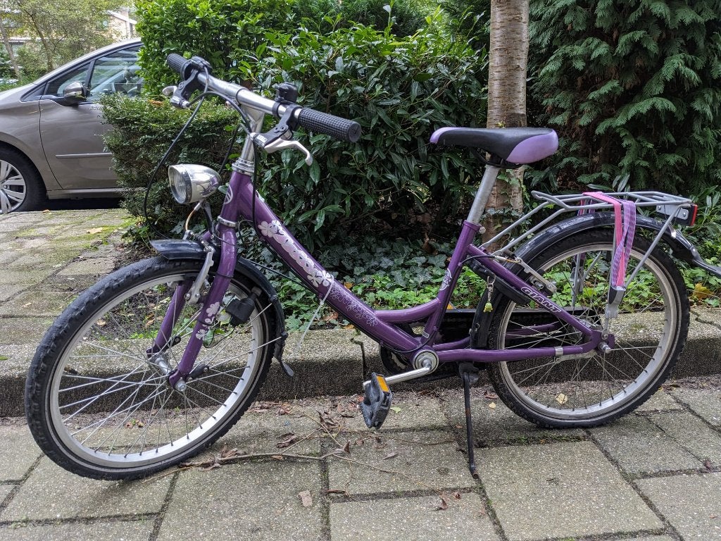 Fiets zoekt nieuwe baasje, Ophalen, Terugtraprem, Gebruikt, Giant