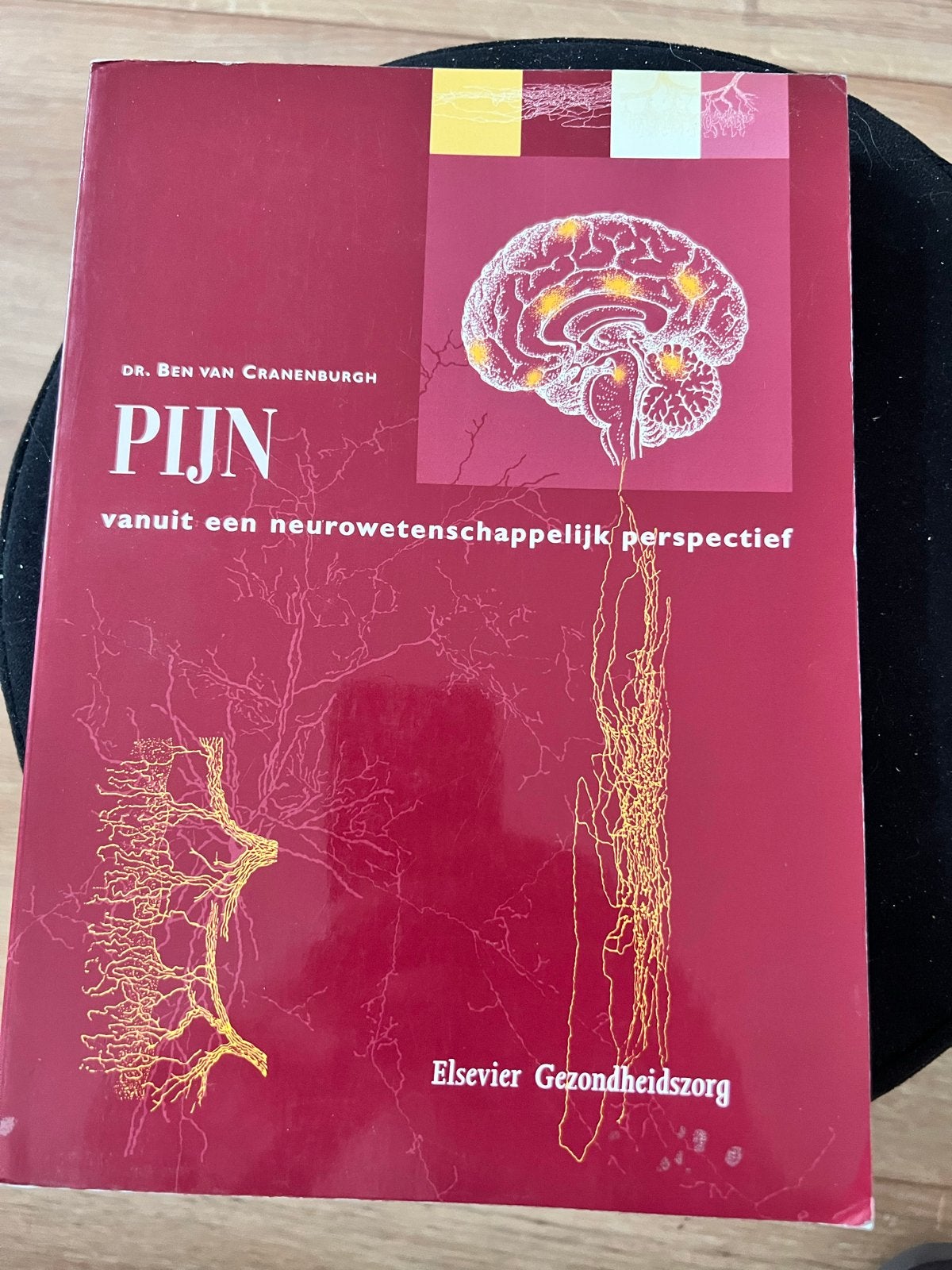 Pijn vanuit een neurowetenschappelijk perspectief, Boeken, Ophalen of Verzenden, Zo goed als nieuw, Gezondheid en Conditie
