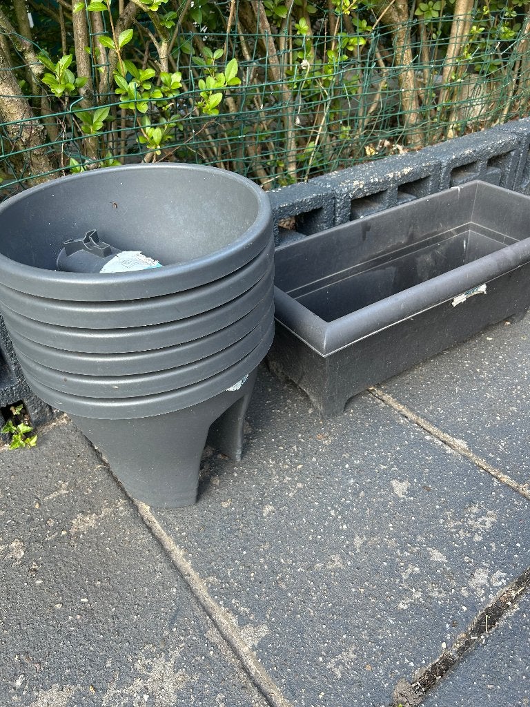 Planten potten, Ophalen, Overige soorten, Volle zon
