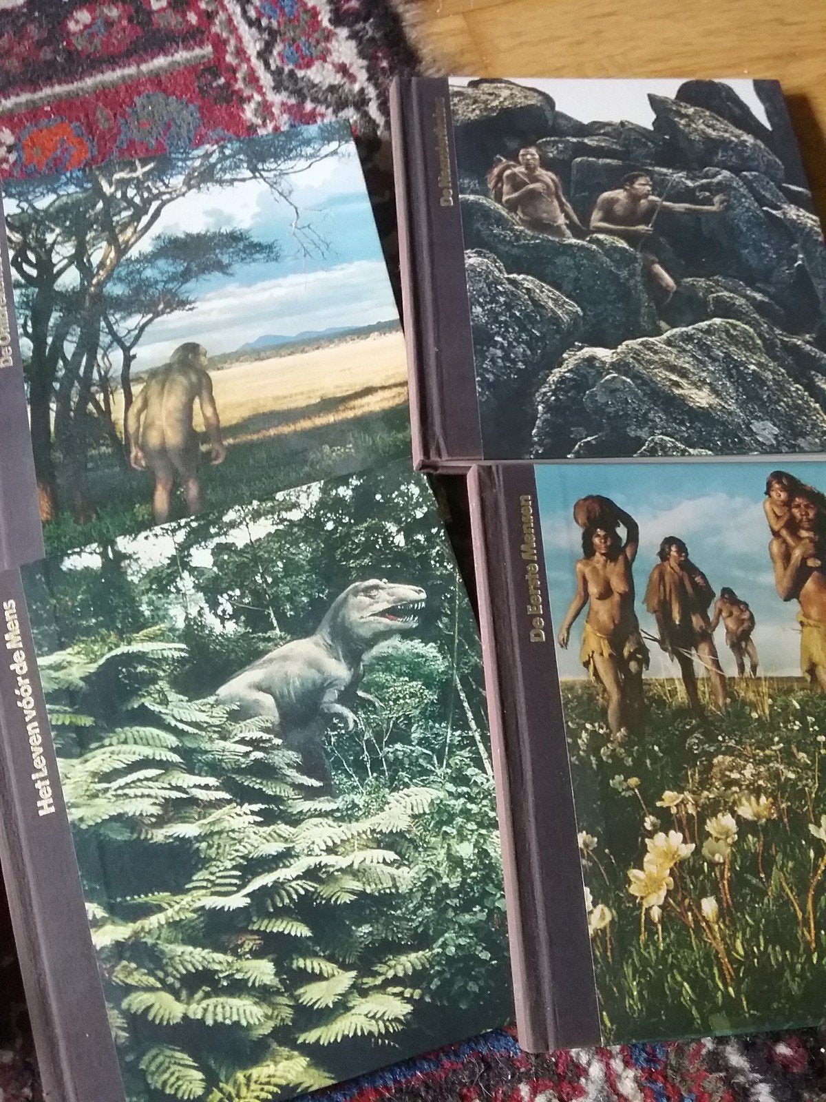 BIJZONDERE ENCYCLOPEDIE HET ONTSTAAN DER MENSHEID, Boeken, Ophalen, Zo goed als nieuw, Algemeen