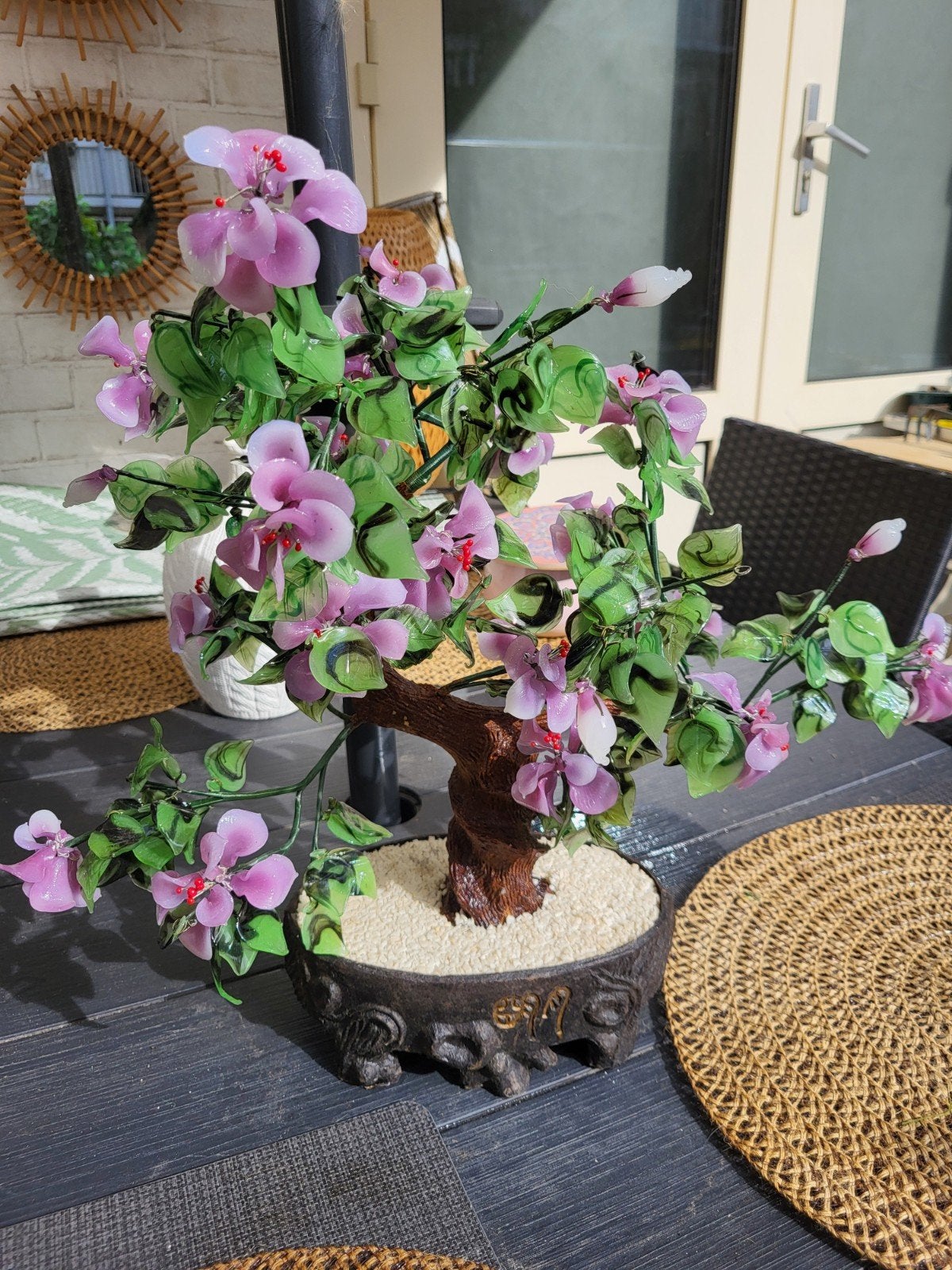 bonsai nep boompje, Ophalen, Overige soorten, Halfschaduw