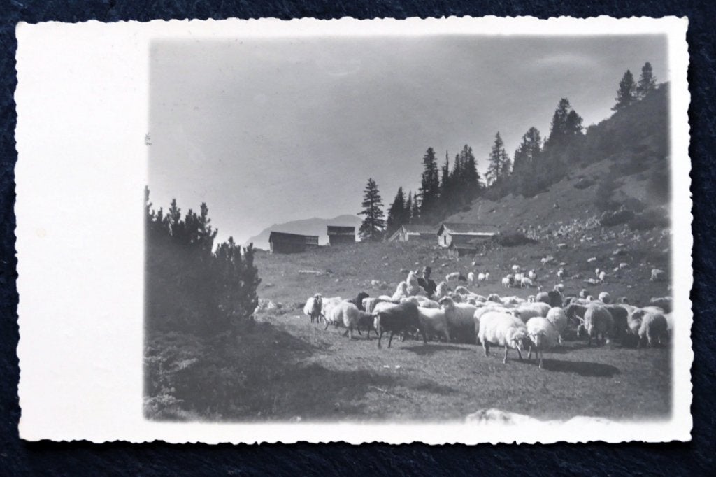 Herder met zijn schapen onderweg in de bergen, 1938, Verzamelen, Verzenden, 1920 tot 1940, Gelopen, Overige soorten