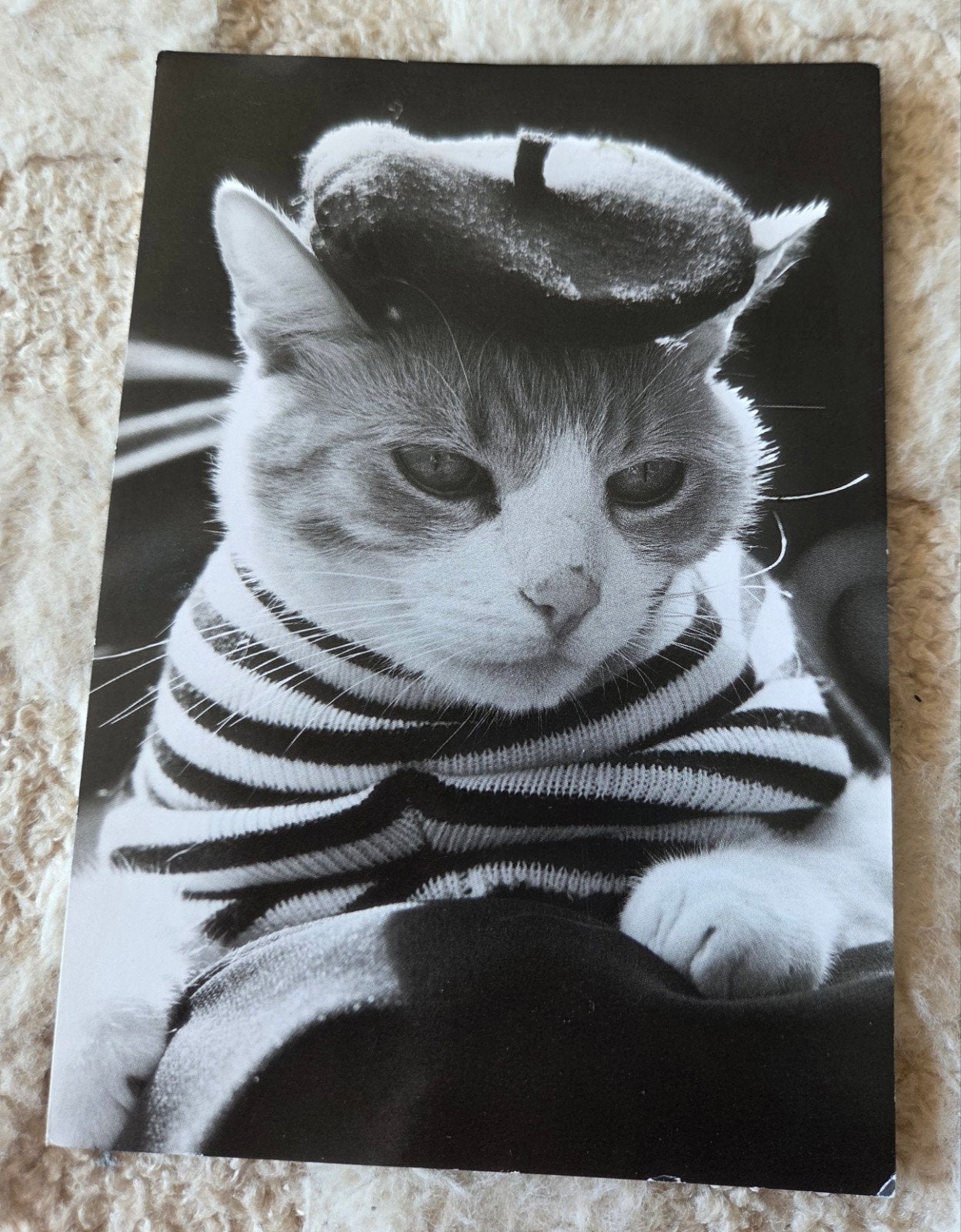 Kat met baret en gestreepte trui, Verzenden, 1980 tot heden, Gelopen, Hond of Kat