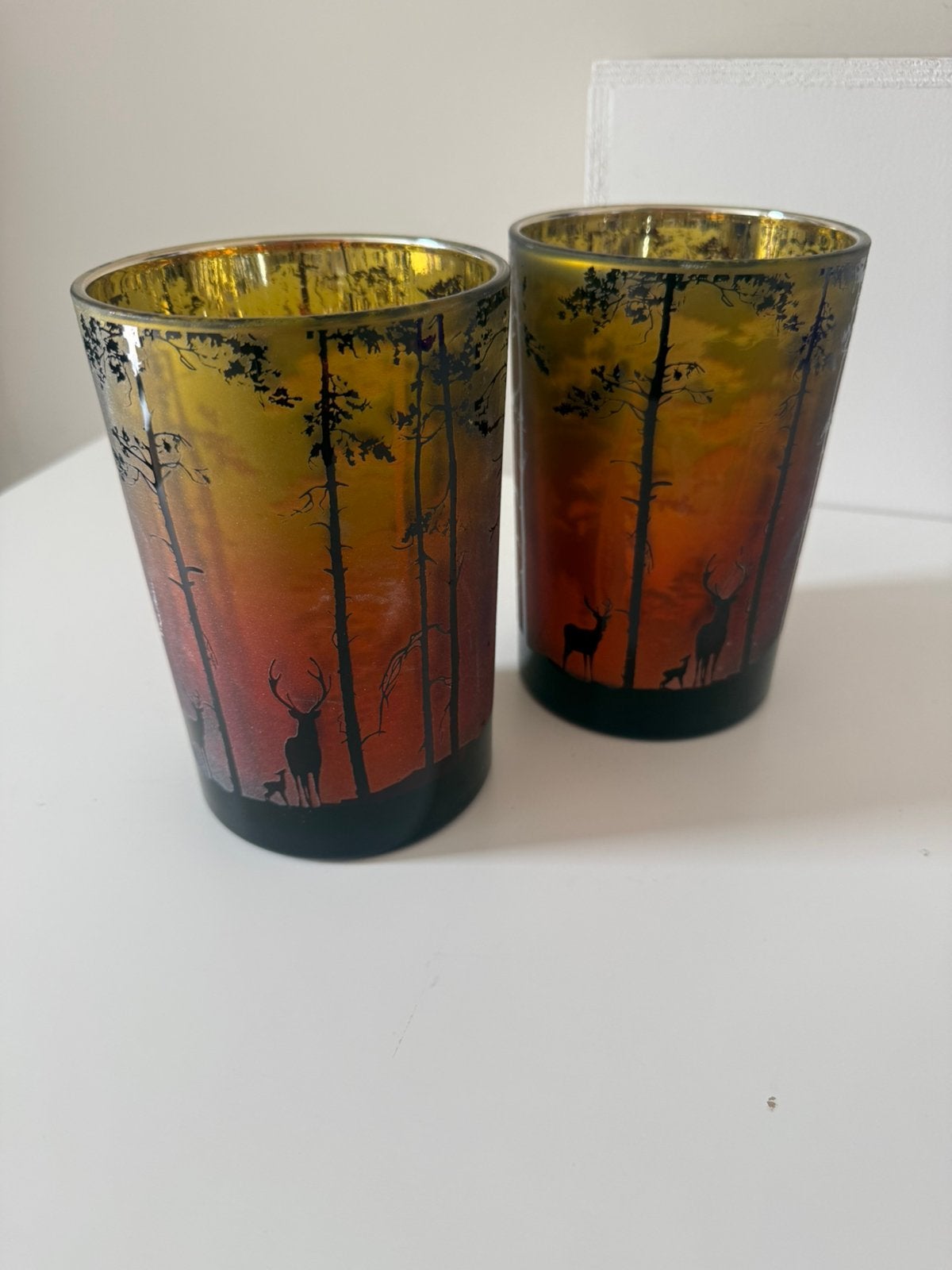 Windlichten forest (glas), Huis en Inrichting, Woonaccessoires | Kandelaars en Kaarsen, Ophalen of Verzenden, Zo goed als nieuw