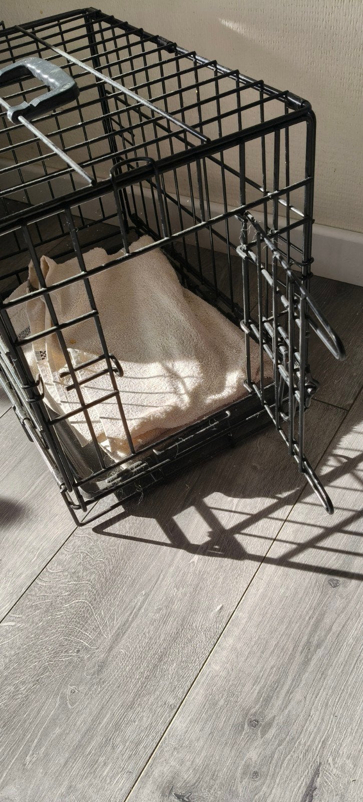 bench kleine hond, Ophalen, Nieuw