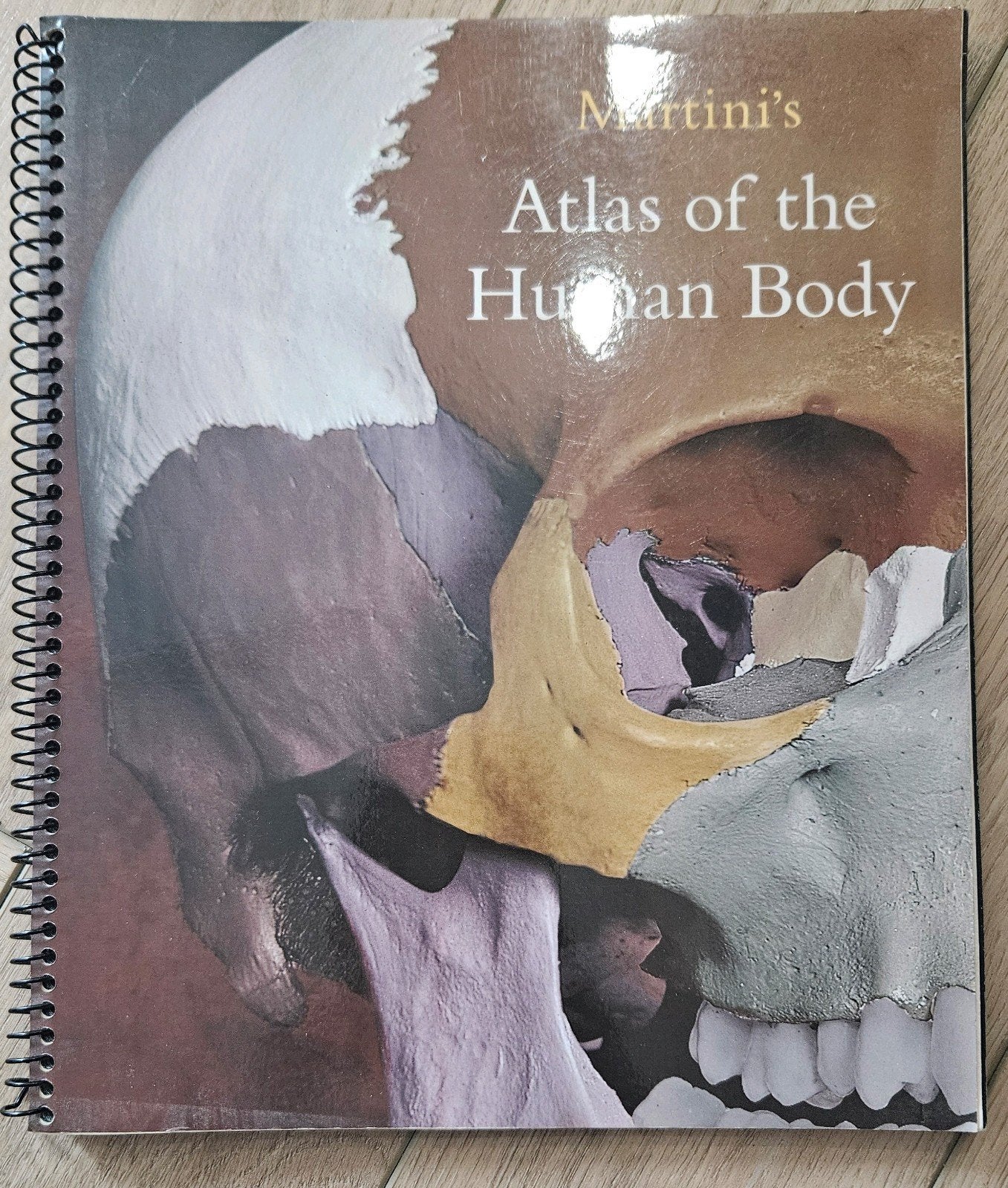 Martini's Atlas of the Human Body - Anatomie Atlas, Gelezen, Martini, Beta, HBO
