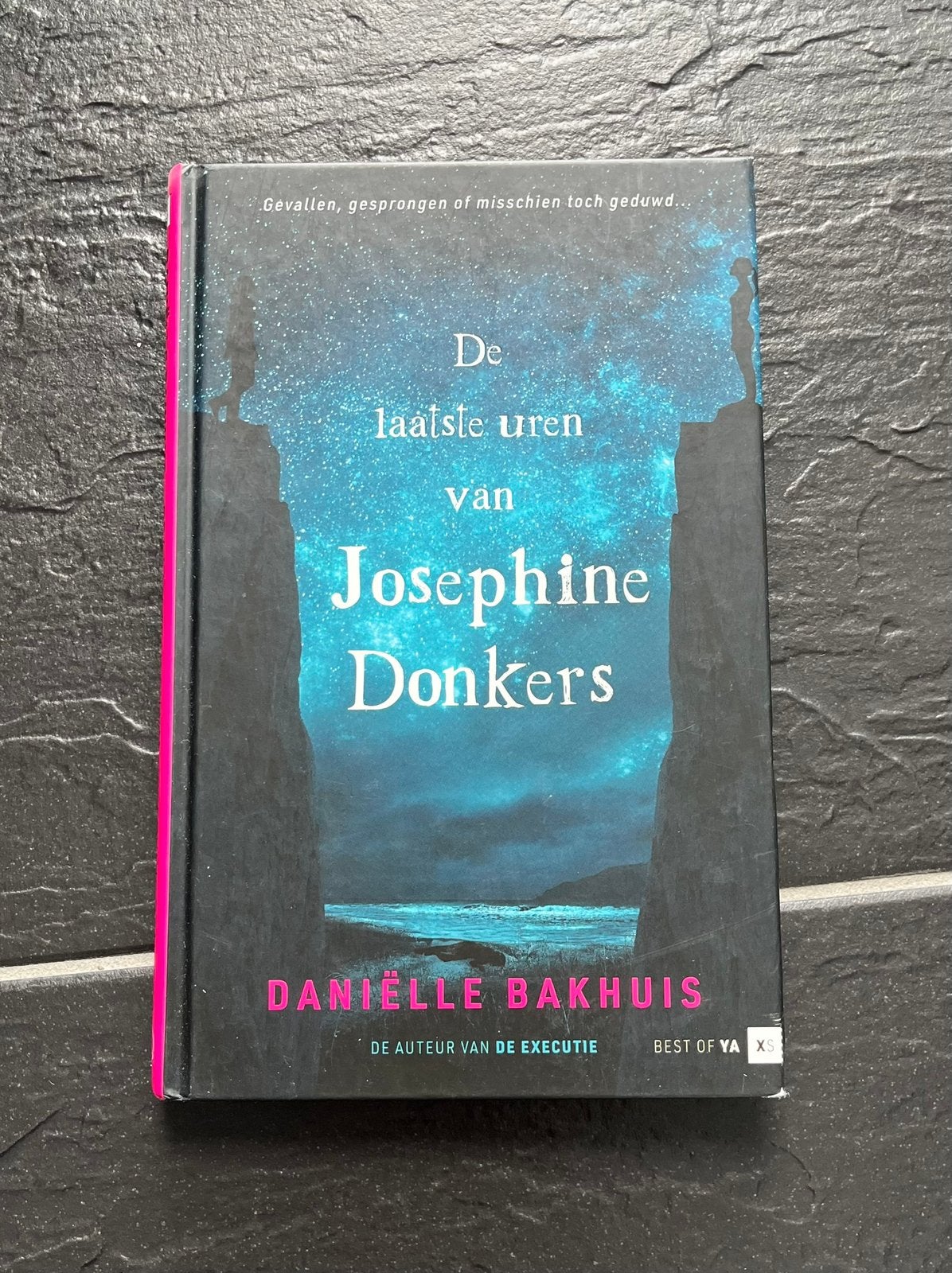 De laatste uren van Josephine Donkers - Danielle Bakhuis, Ophalen of Verzenden, Gelezen, Fictie