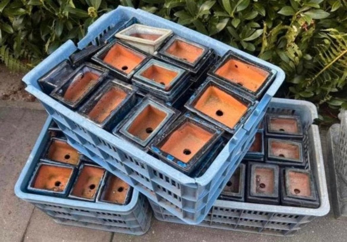 Krat met ca. 50 Bonsai potten voor maar €50,- per krat!, Tuin en Terras, Ophalen, Gebruikt, Aardewerk, Rechthoekig