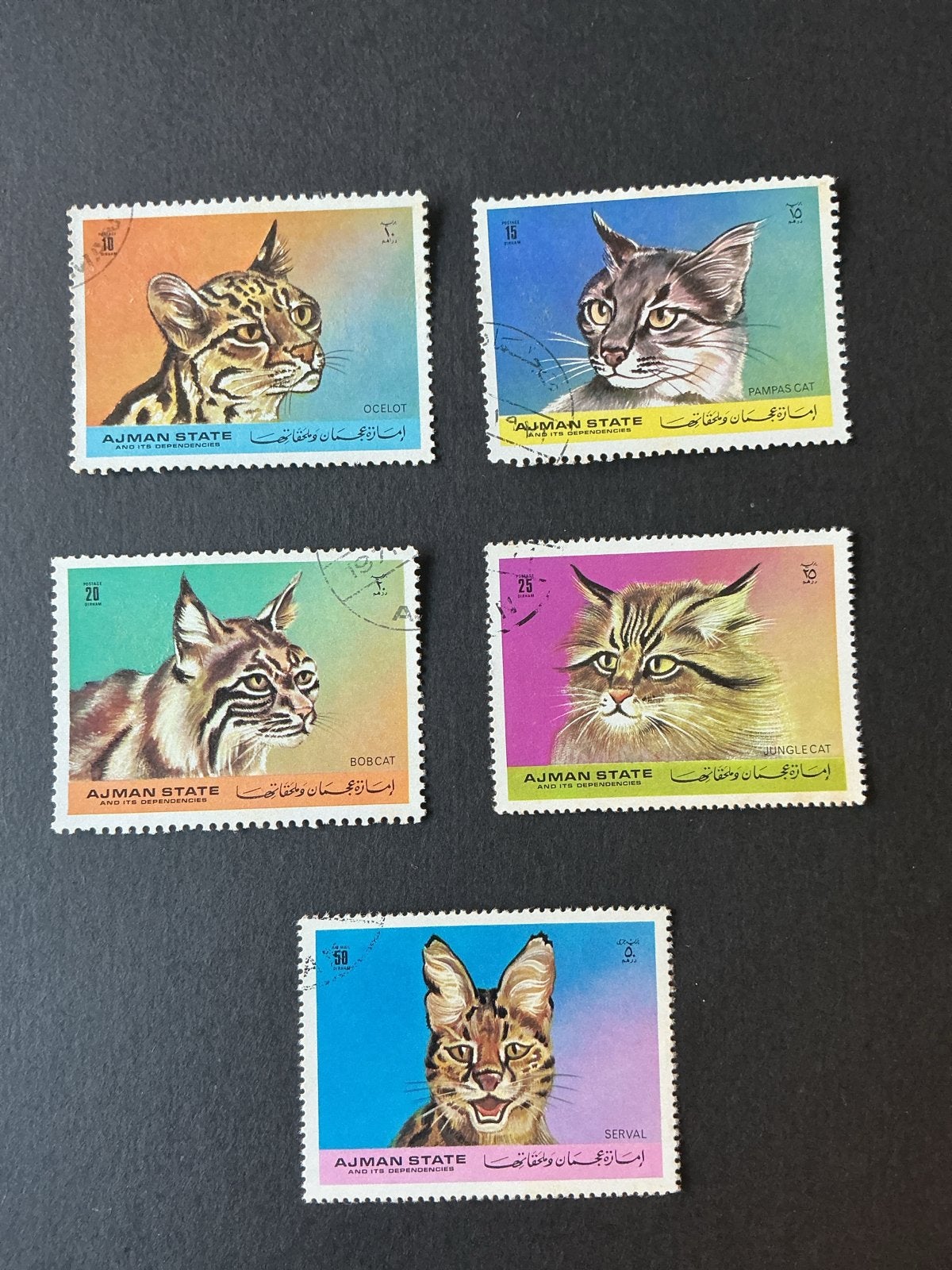 Katten Cats Chats Katzen Ajman, Verzenden, Gestempeld, Dier of Natuur