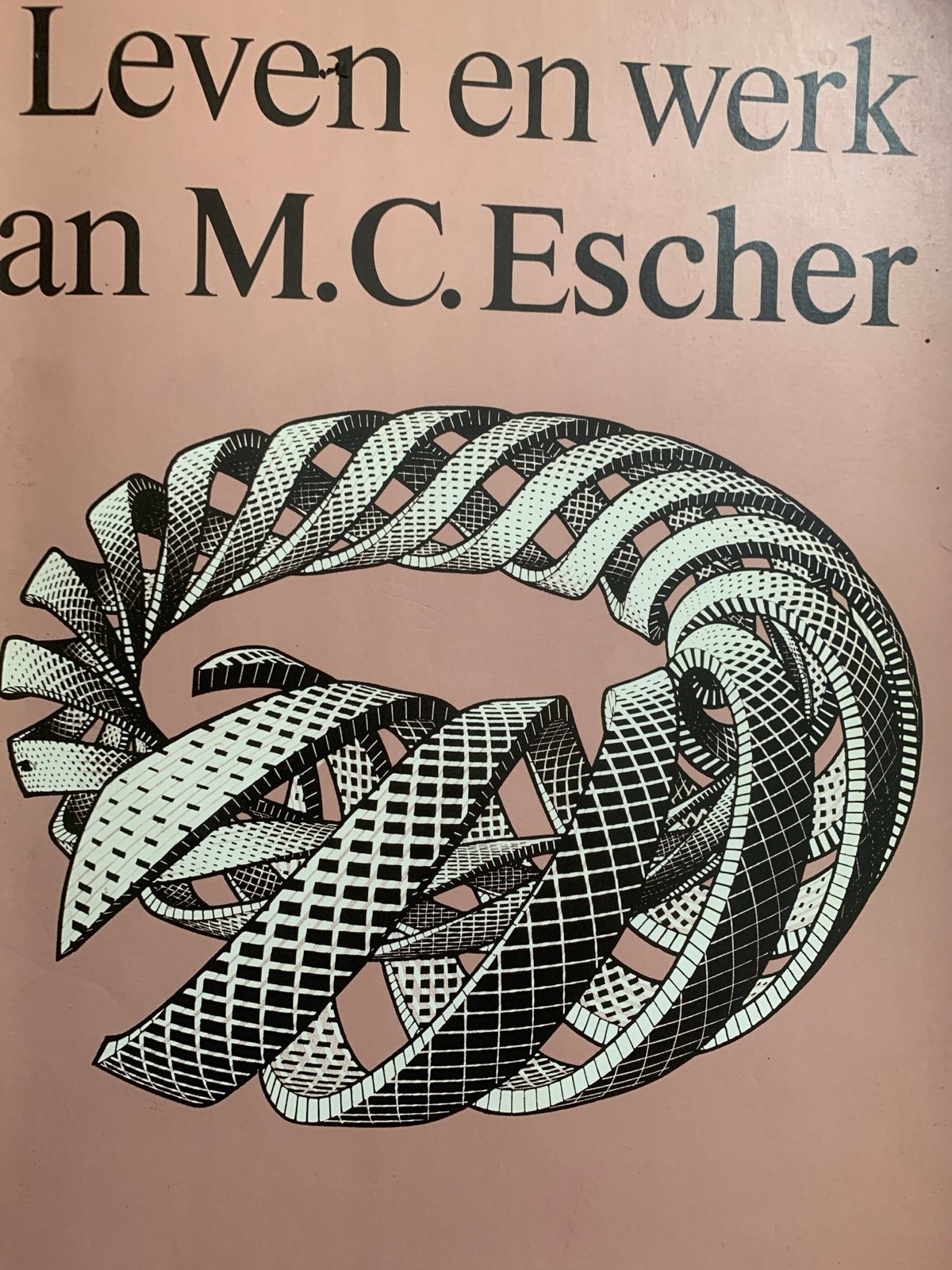 Leven en werk van M.C. Escher - Zo goed als nieuw, Ophalen of Verzenden, Zo goed als nieuw, Overige onderwerpen