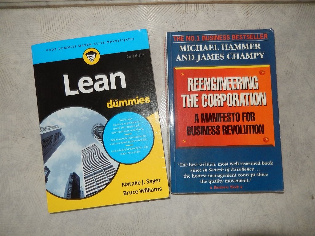Lean Voor Dummies Sayer & Williams Road to Optimism Dr Perry, Ophalen, Sayer & Williams Dr Perry, HBO, Zo goed als nieuw
