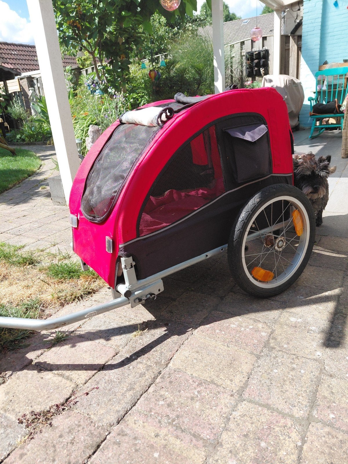 Hondenaanhanger voor fiets - Inklapbaar, kleine honden, Ophalen, Gebruikt, Opvouwbaar, 20 tot 40 kg