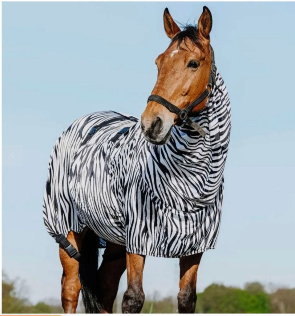Vliegendeken, Dieren en Toebehoren, Paarden en Pony's | Dekens en Dekjes, Nieuw, Vliegendeken, Ophalen of Verzenden