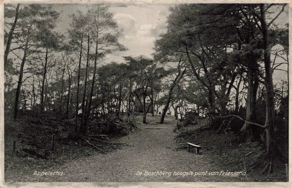 Appelscha De Boschberg uitkijktoren L3030, Ophalen, 1920 tot 1940, Gelopen, Friesland