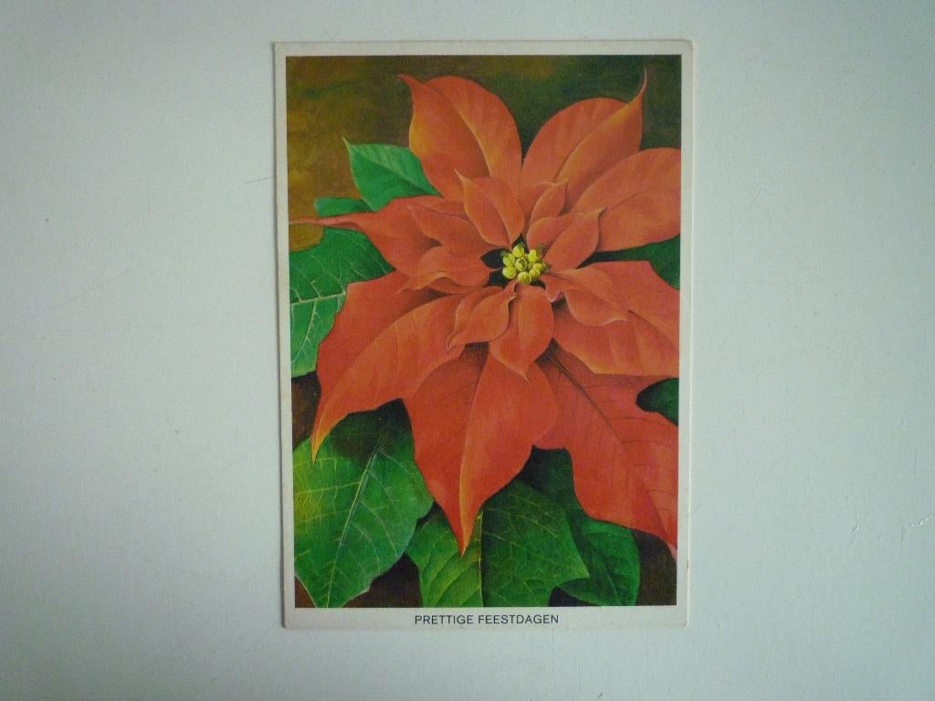 Kerstster voor het kind kaart ontwerp M. Langbroek, Ophalen of Verzenden, Voor 1920, Overige thema's