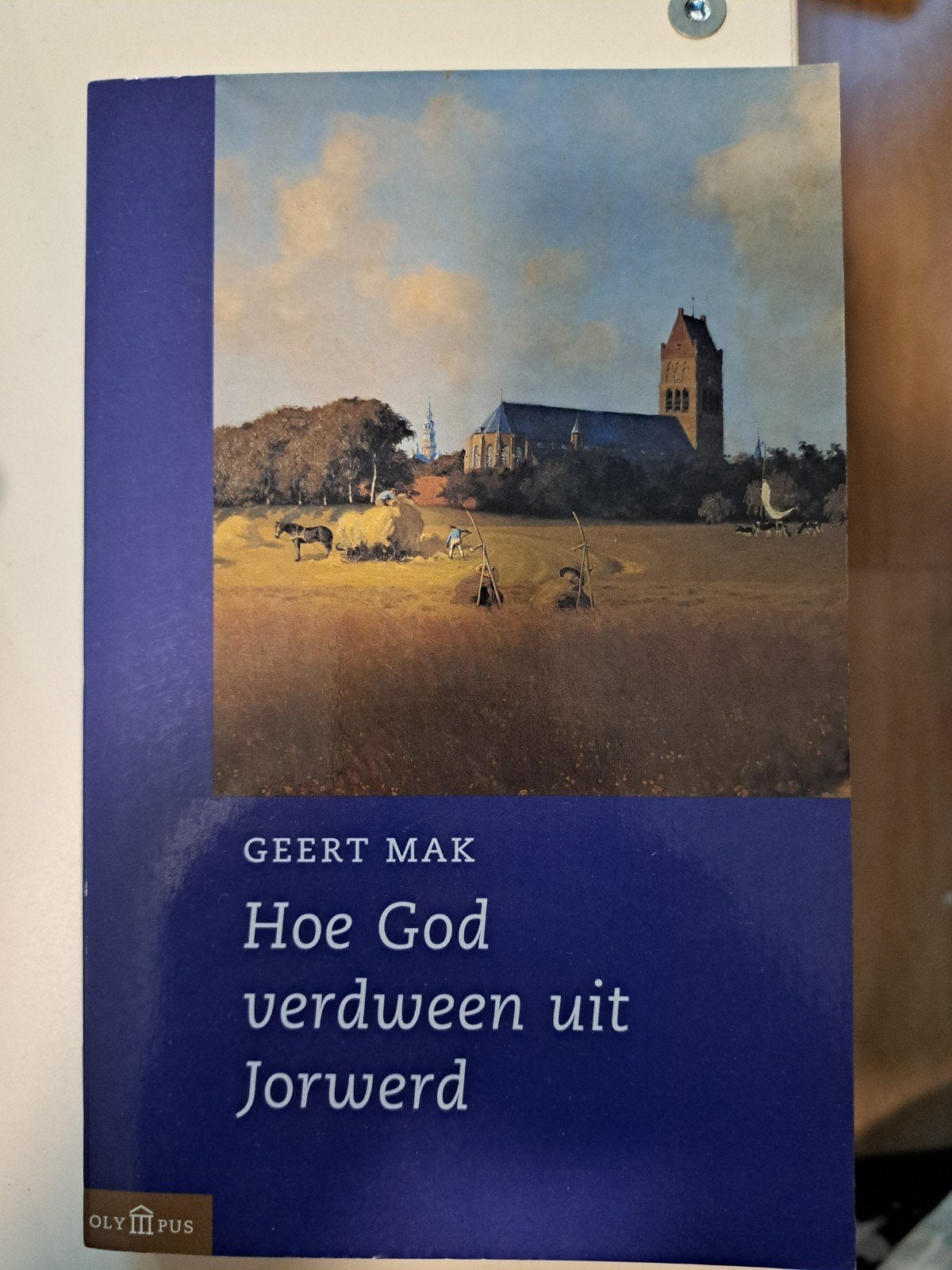 Hoe God verdween uit Jorwerd - Geert Mak, Ophalen of Verzenden, 20e eeuw of later, Gelezen, Geert Mak