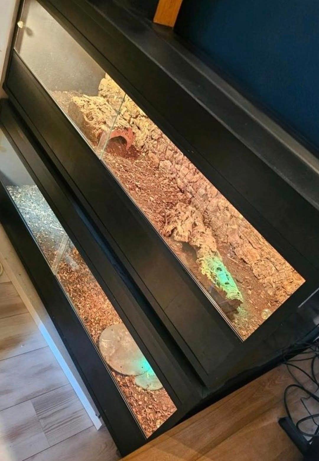Terrariums, Ophalen