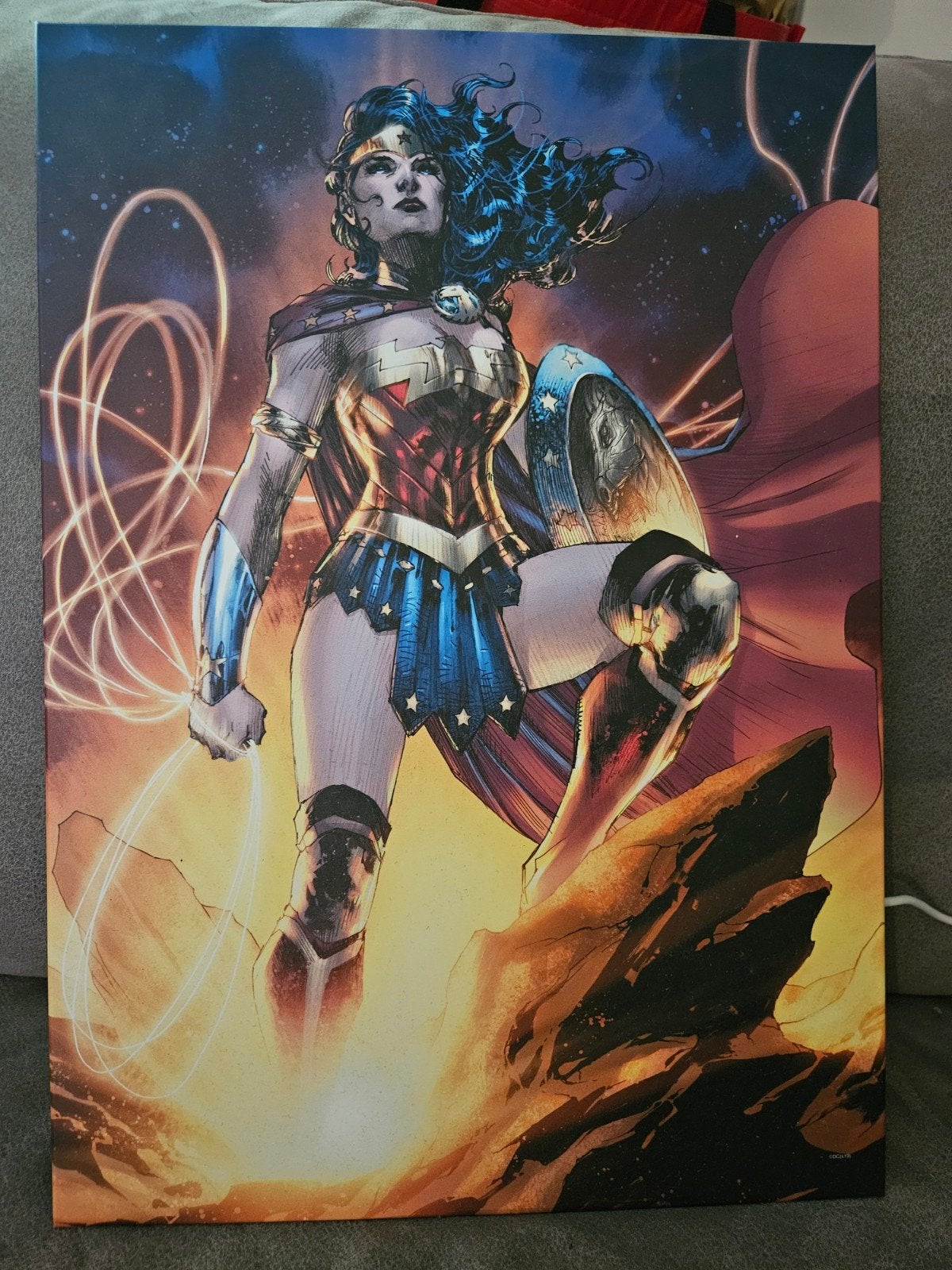 Displate Wonder Woman Metalen Poster - Nieuwstaat, Ophalen, Minder dan 50 cm, 5 – 50, Print
