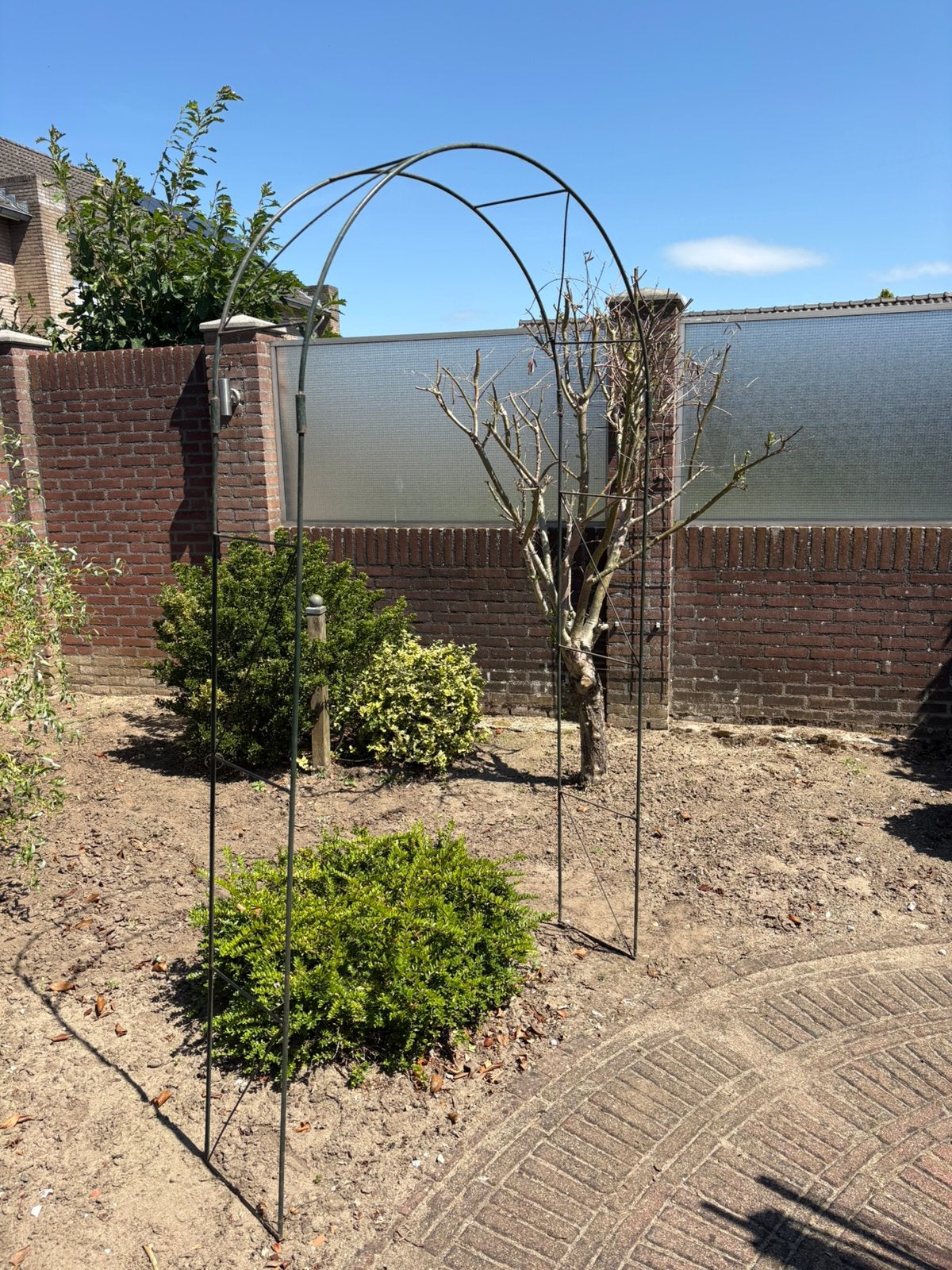 Rozenboog hoogte 215 x 110 cm, Ophalen, Conifeer, 100 tot 250 cm