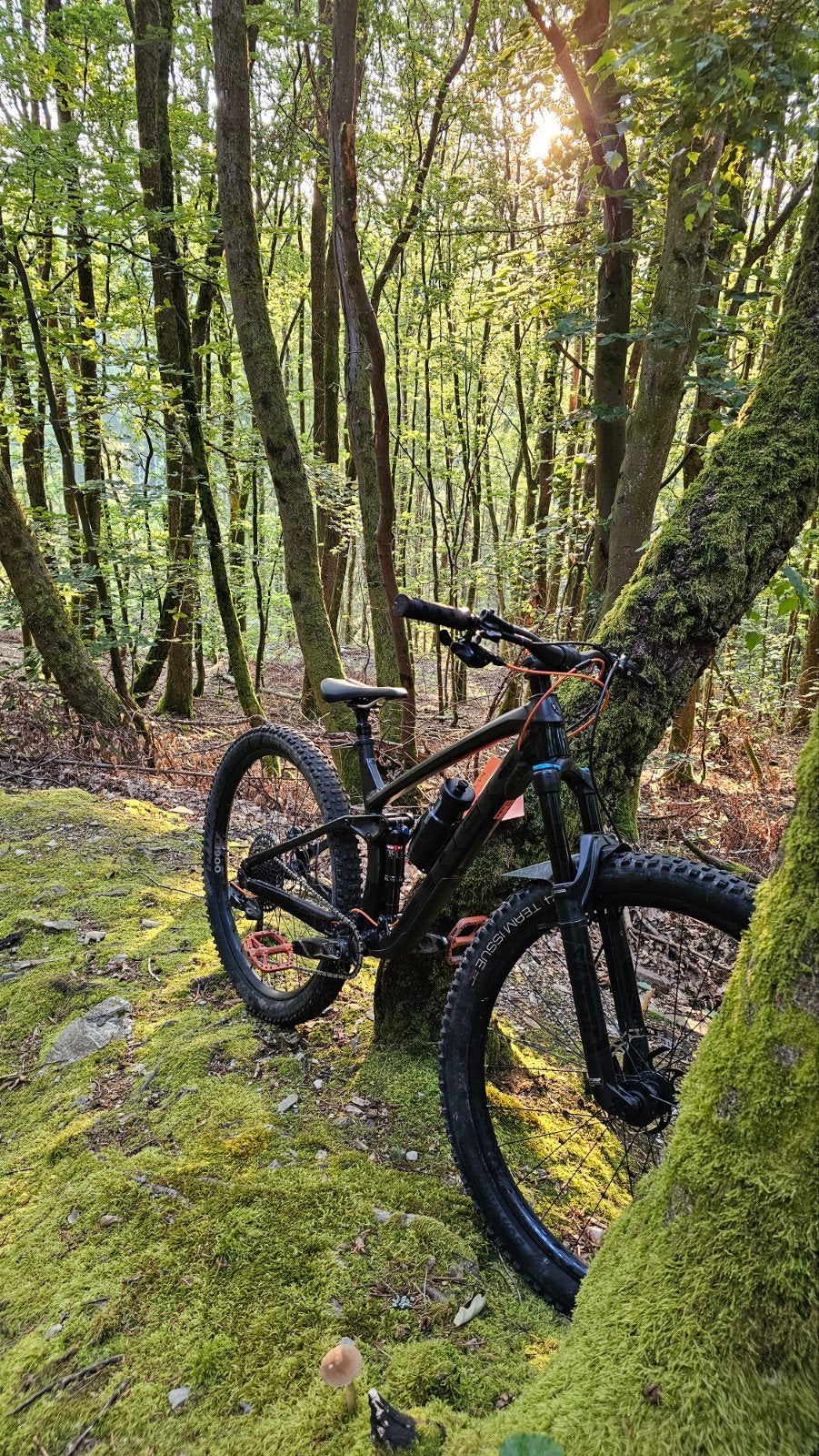 Trek fuel EX 8 (2020) - Maat L, Fietsen en Brommers, Fietsen | Mountainbikes en ATB, Ophalen, Gebruikt, Fully, Schijfrem