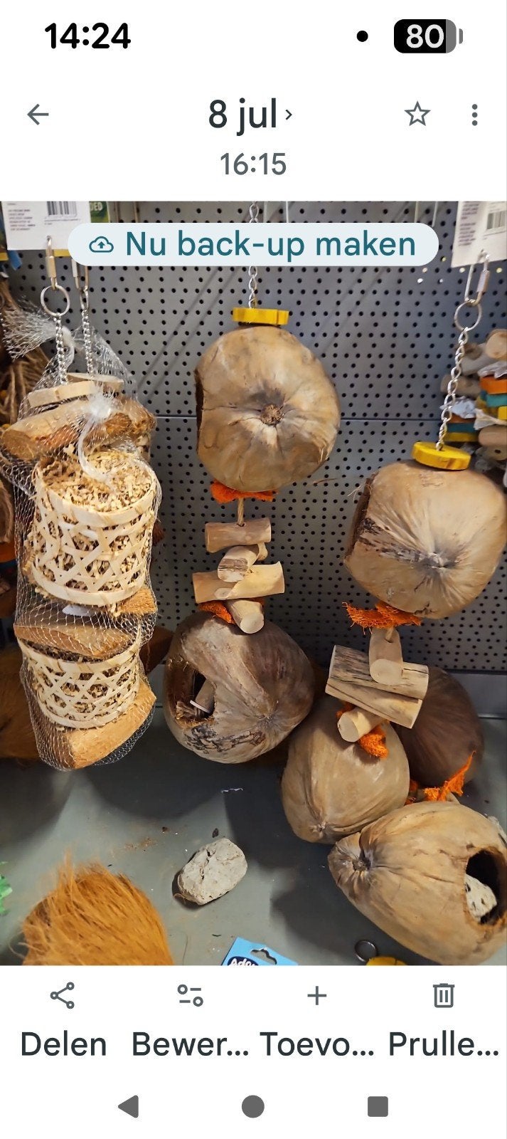 Papagaaien speelgoed nieuw, Mannelijk, Papegaai