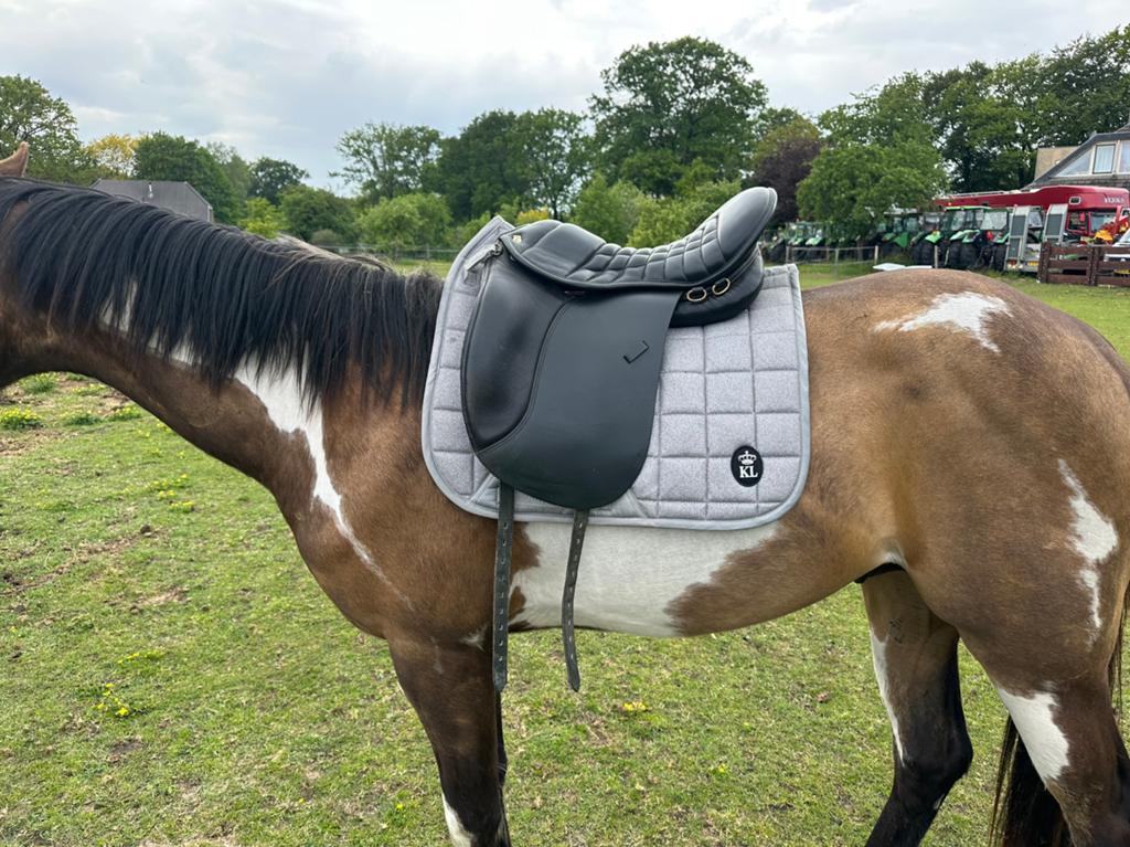 Massimo Trail 18,5 inch, Dieren en Toebehoren, Ophalen of Verzenden, Zo goed als nieuw, Recreatie