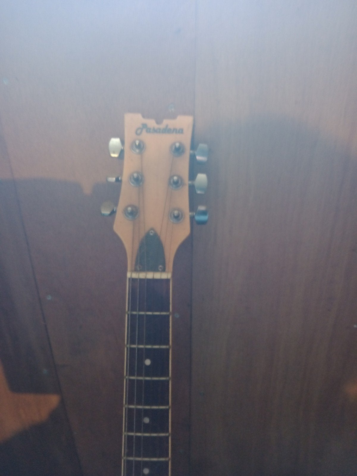 Elektrische gitaar