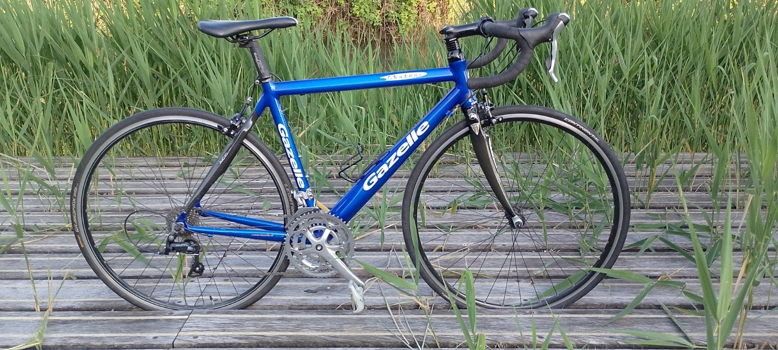 GAZELLE 🇱🇺 goldline Modano 50/50 Carbon/Alu Dames S/M, Ophalen, 28 inch, Carbon, Velgrem