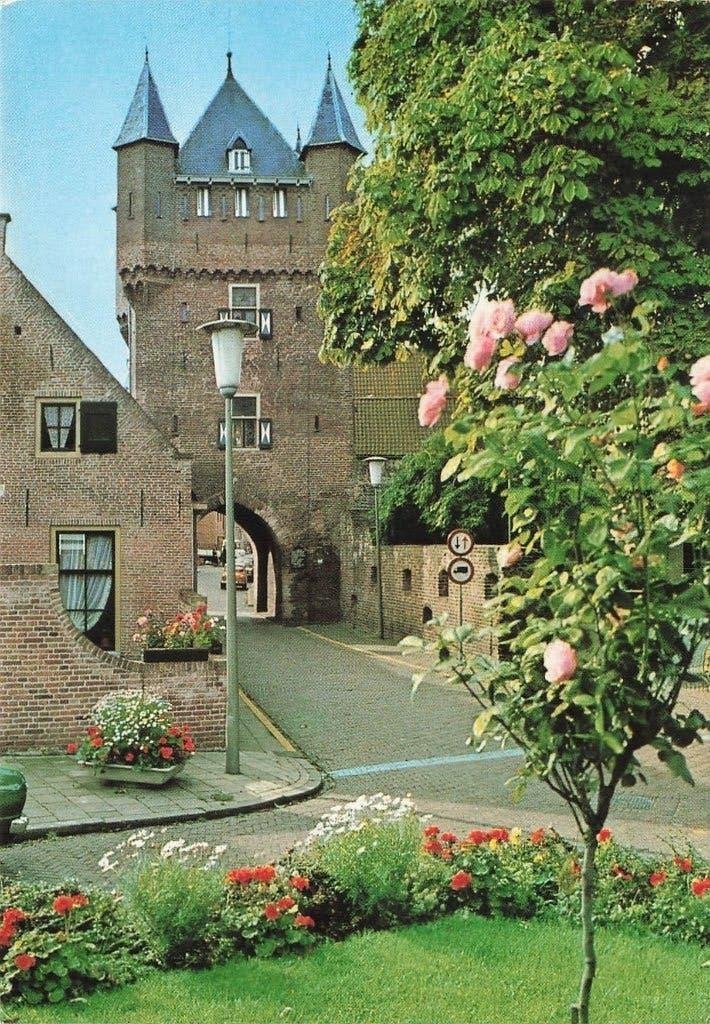 Hattem, Dijkpoort, Ophalen of Verzenden, 1980 tot heden, Gelopen, Gelderland