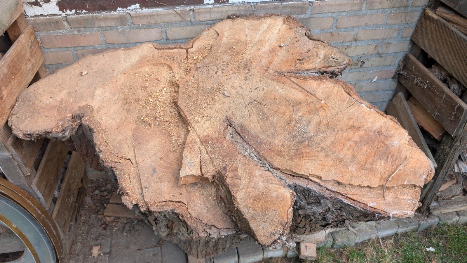 Grote ceder boomstam blokken, Tuin en Terras, Minder dan 3 m³, Ophalen, Overige houtsoorten, Stammen