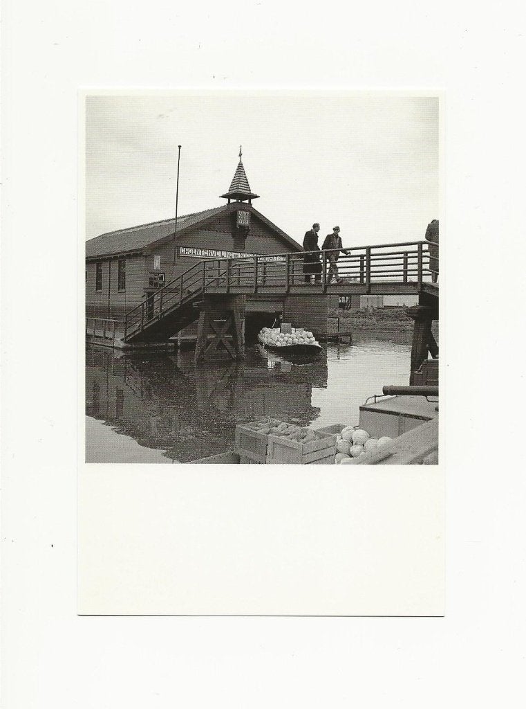 Groentenveiling - Foto Wim Zilver Rupe, Ophalen, 1960 tot 1980, Ongelopen, Noord-Holland