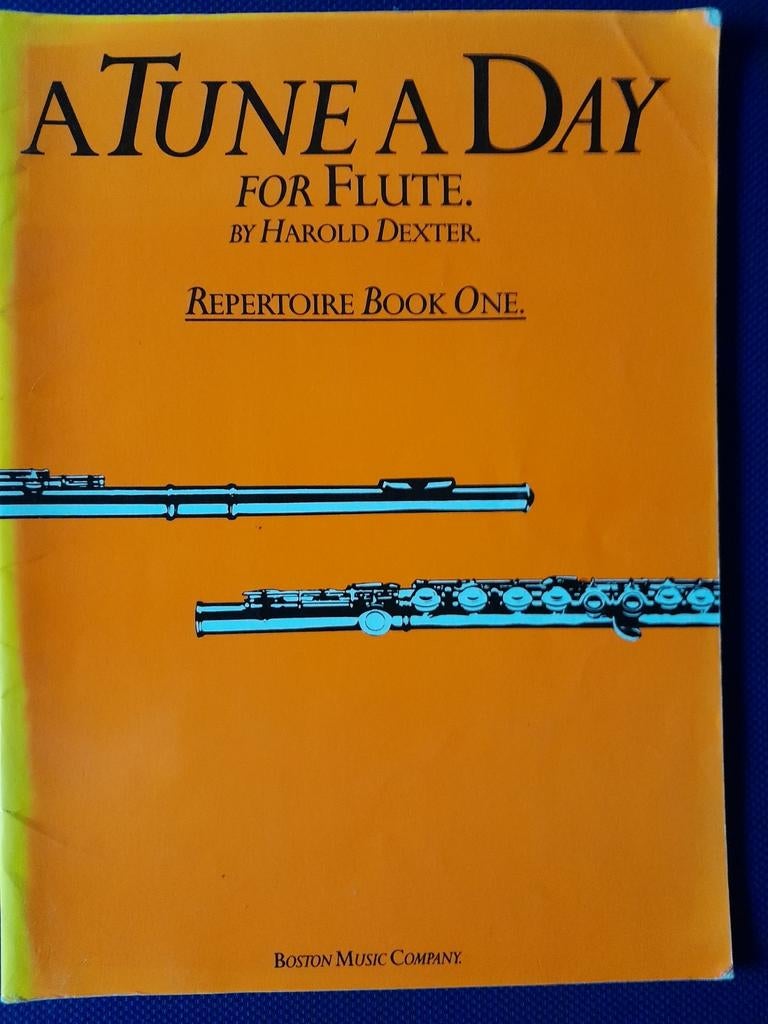 A Tune a Day for Flute, Book One, Ophalen of Verzenden, Zo goed als nieuw, Les of Cursus, Klassiek