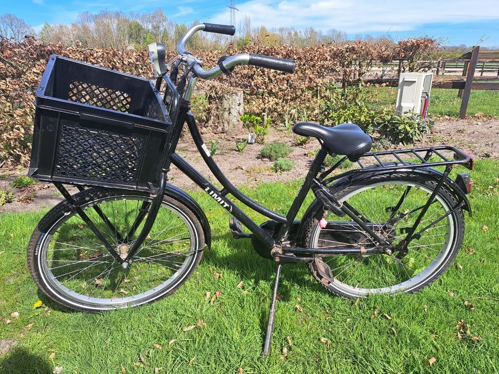 Meisjesfiets Limit 20 inch met mandje, Fietsen en Brommers, Ophalen, Gebruikt, 20 inch, Limit