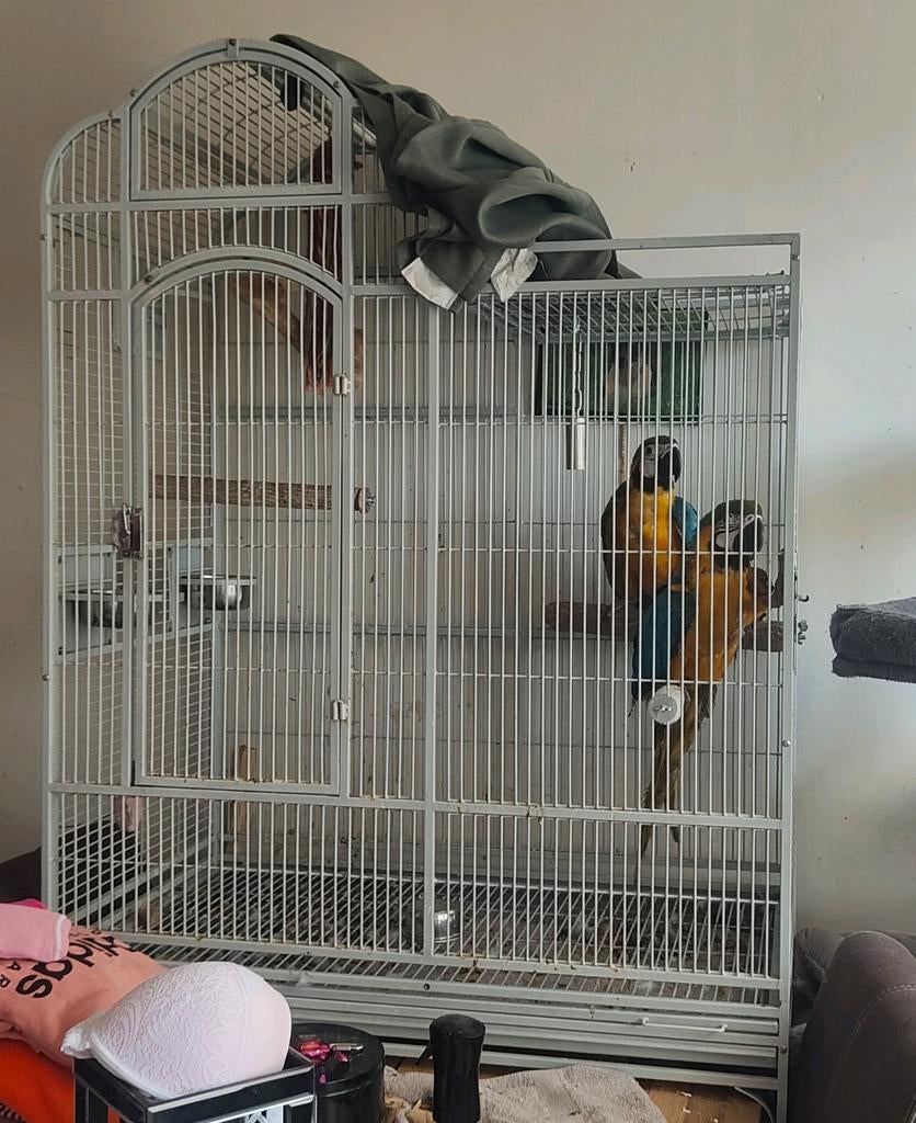 Vogel kooi, Ophalen, Metaal, Vogelkooi