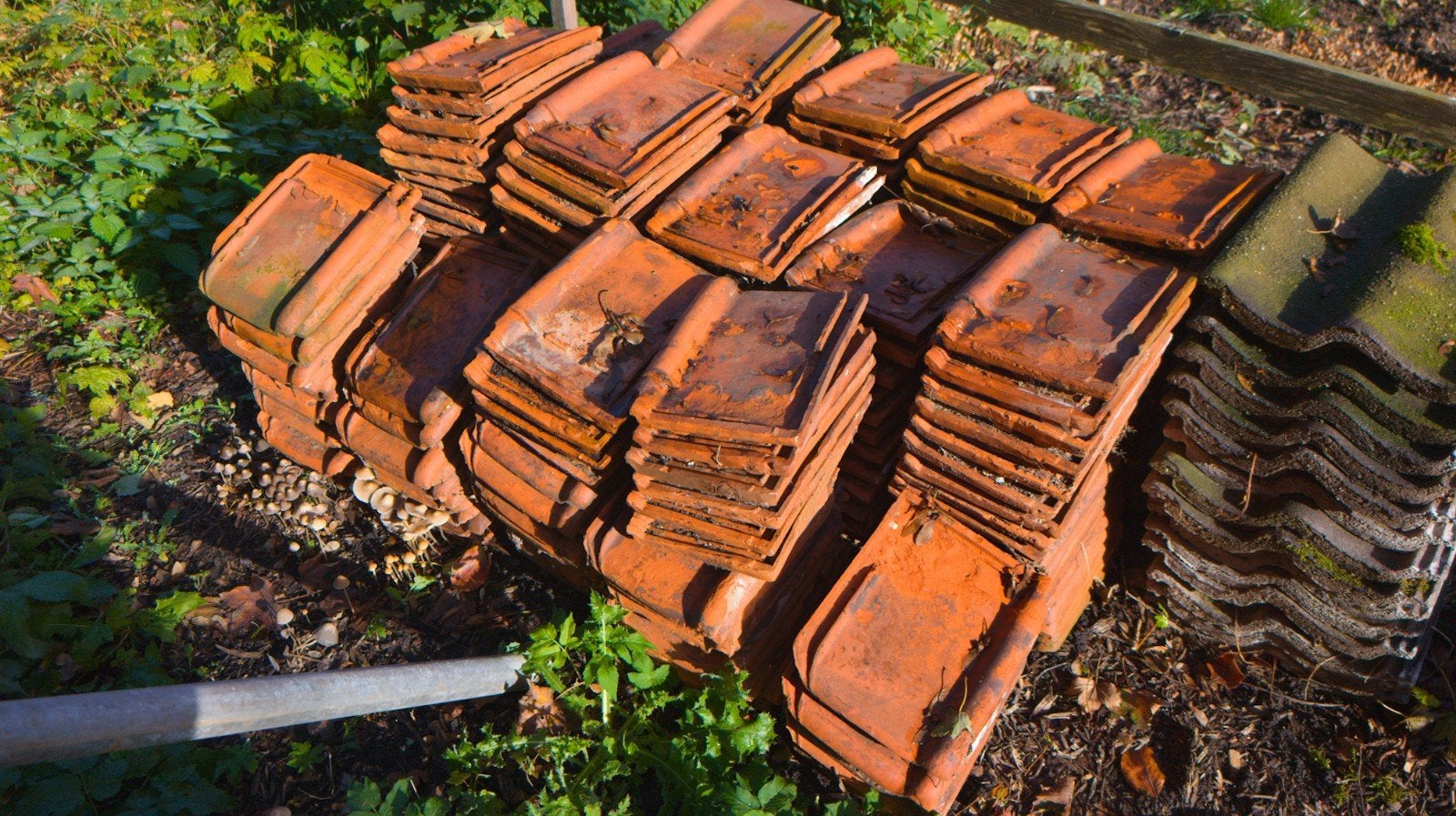Gebruikte dakpannen - Oranje keramische dakbedekking, Ophalen, Gebruikt, Steen of Klei, 15 m² of meer