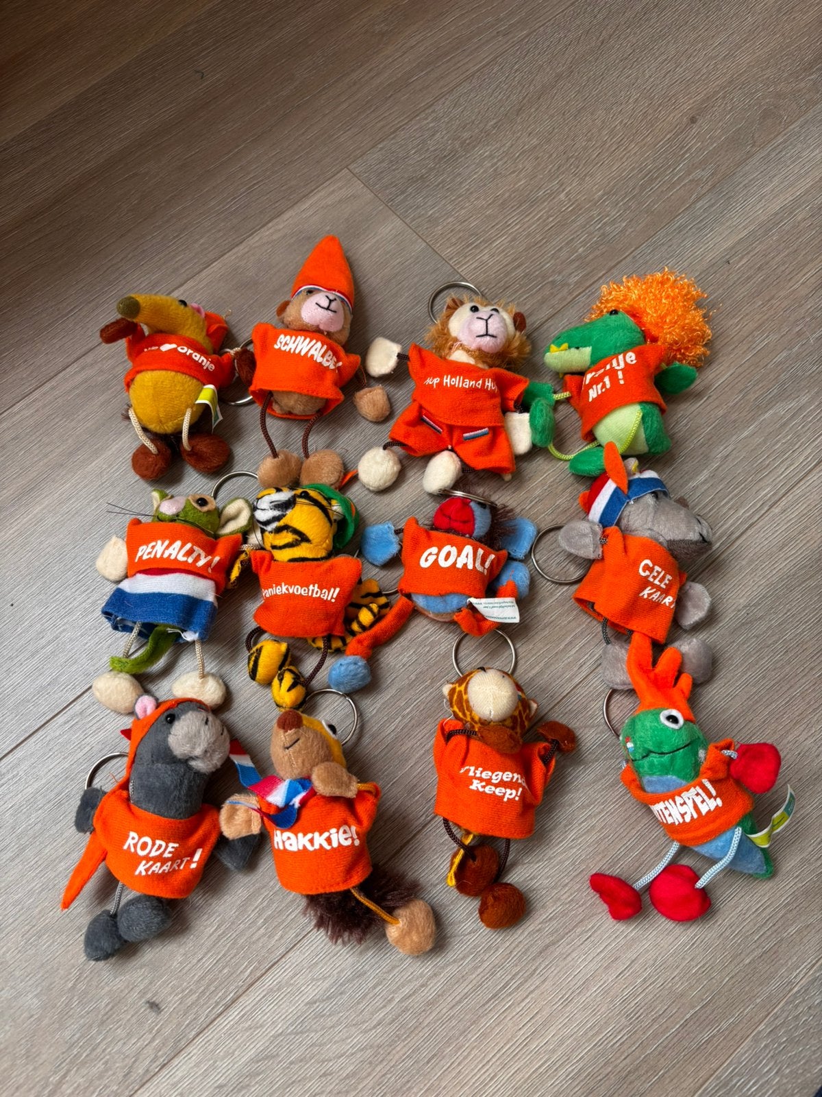 Sleutel hanger wk, Verzamelen, Ophalen of Verzenden, Zo goed als nieuw, Sport