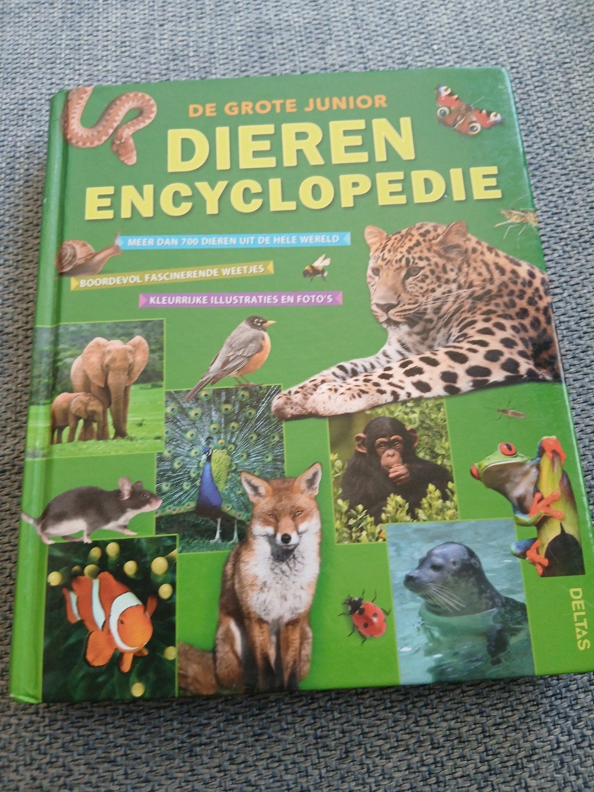 De Grote Junior Dierenencyclopedie - Meer dan 700 dieren, Boeken, Encyclopedieën, Onbekend, Ophalen of Verzenden, Zo goed als nieuw