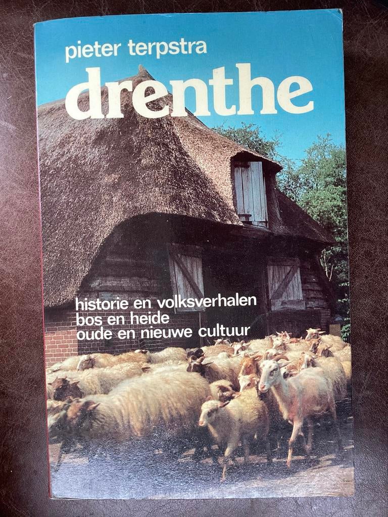 Drenthe: Historie, volksverhalen, bos en heide - Pieter Terp, Ophalen of Verzenden, 20e eeuw of later, Gelezen