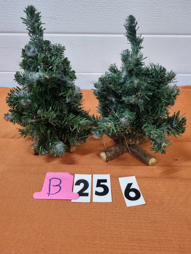 kerstboompjes klein op kruisvoet 256b, Ophalen of Verzenden, 'T Olde Gre-j, Info@toldegrej.nl, Endepoelstraat 20f Didam