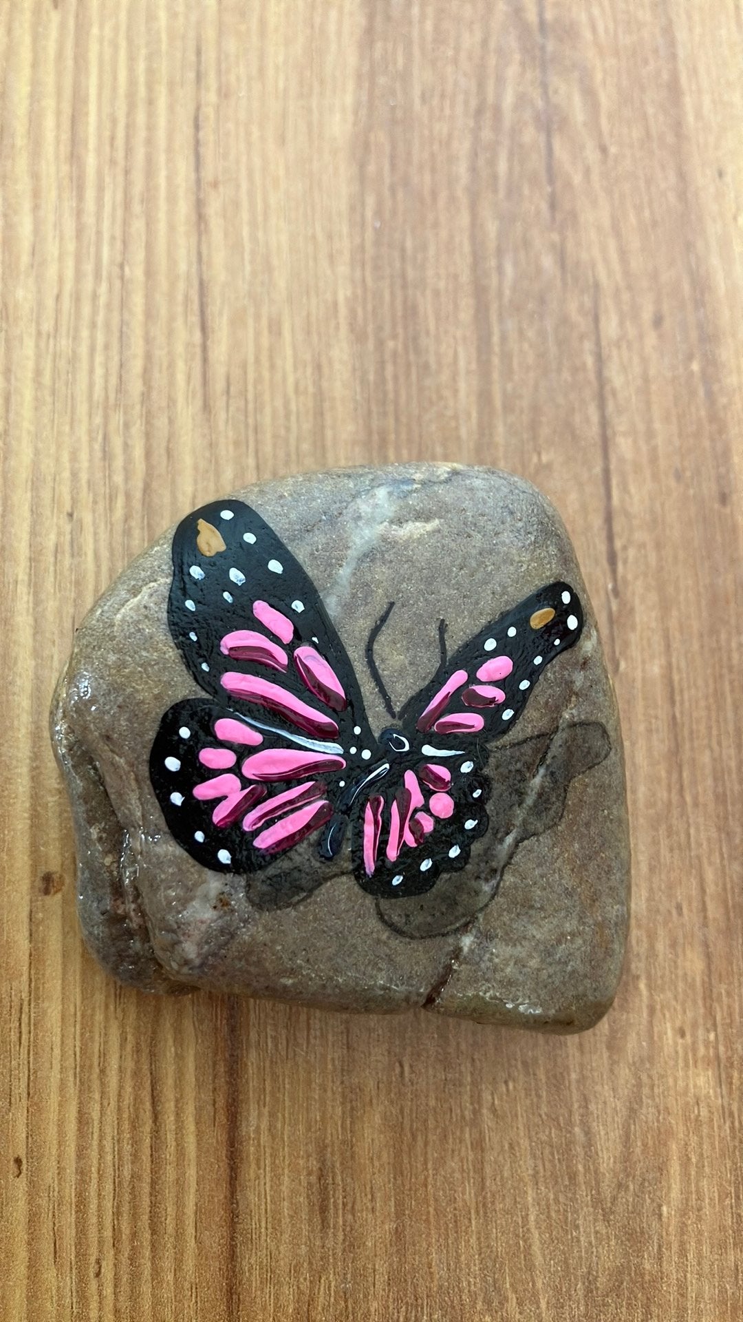 Hand beschilderde steen vlinder, Ophalen of Verzenden
