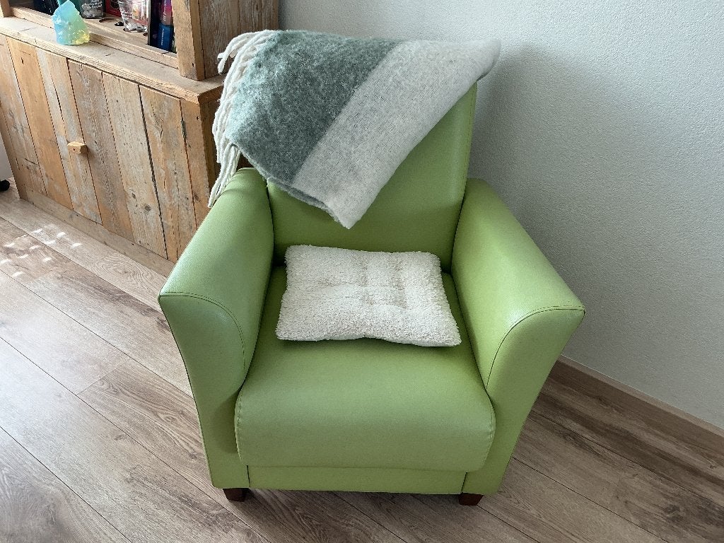Fauteuil, Ophalen, Gebruikt, 75 tot 100 cm, Leer