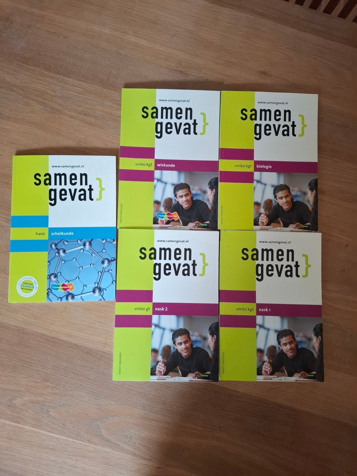 Samengevat boeken VMBO KGT/GT en HAVO - Diverse vakken, Biologie, ThiemeMeulenhoff, Ophalen of Verzenden, Gelezen