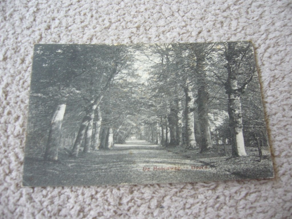 DOORN  =  DE MOLENWEG  BRIEFKAART  1919, Ophalen of Verzenden, Voor 1920, Gelopen, Utrecht