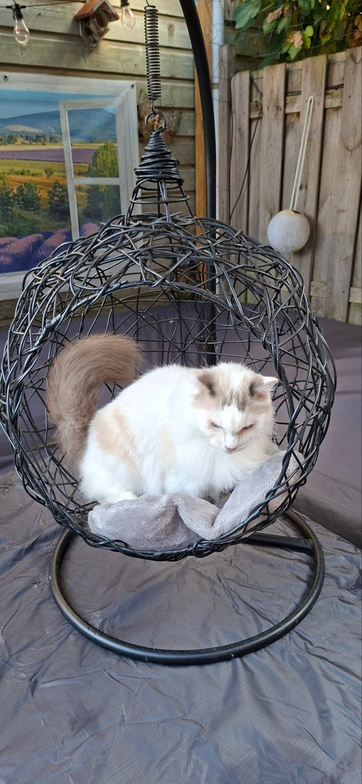 hangende katten mand, Dieren en Toebehoren, Ophalen, Zo goed als nieuw